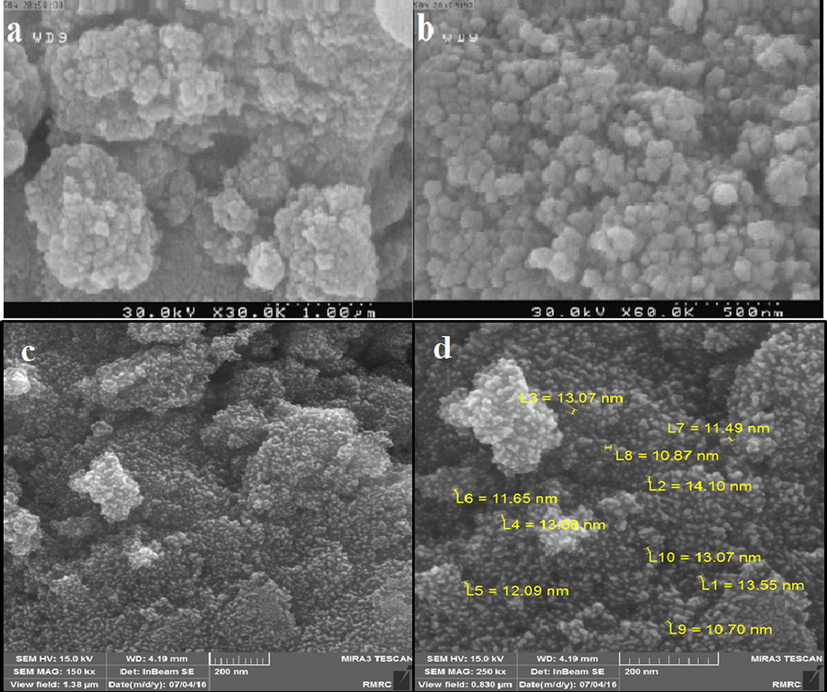 FE-SEM images of n-Fe3O4@ZrO2 (a and b), and n-Fe3O4@ZrO2/PMA (c and d).