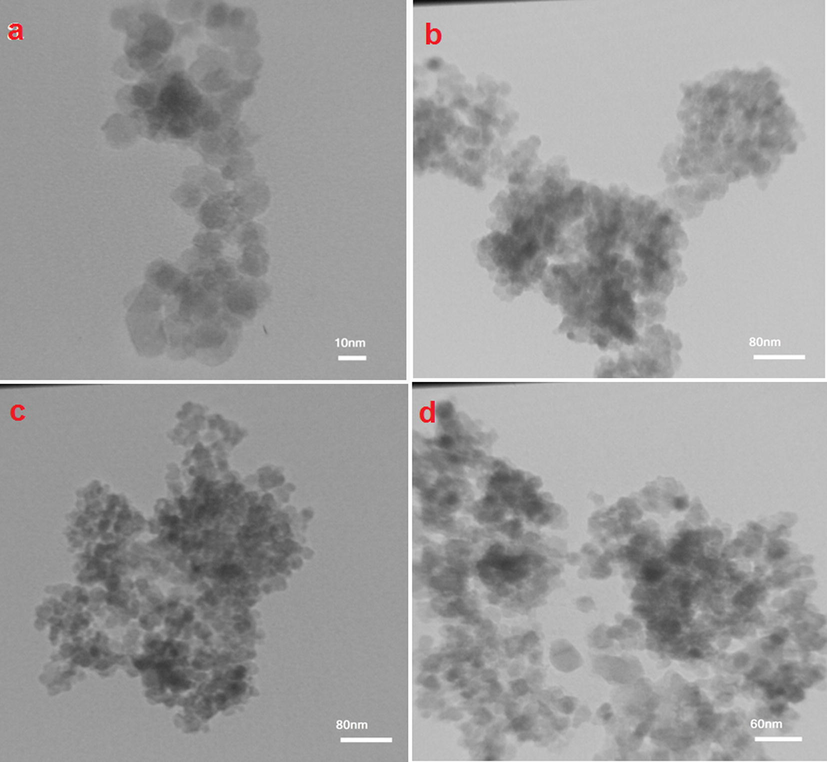 The TEM images of (a) n-Fe3O4@ZrO2 and (b–d) n-Fe3O4@ZrO2/PMA.