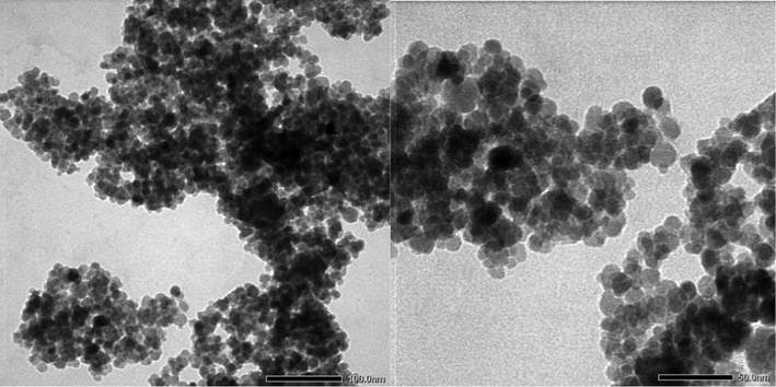 TEM image of γ-Fe2O3 nanoparticles.
