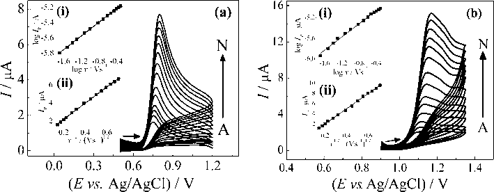 Cyclic voltammograms obtained for a 0.2 mol L−1 phosphate buffer (pH 4.0) solution containing (a) ACP 10.0 μmol L−1 and (b) COD 10.0 μmol L−1 using a CP–BDD electrode at different scan rates: 20 (A); 30 (B); 40 (C); 50 (D); 75 (E); 100 (F); 150 (G); 200 (H); 250 (I); 300 (J); 350 (K); 400 (L); 450 (M); and 500 (N). Insets: (i) log Ip vs. log v curves and (ii) Ip vs. v1/2 curves.