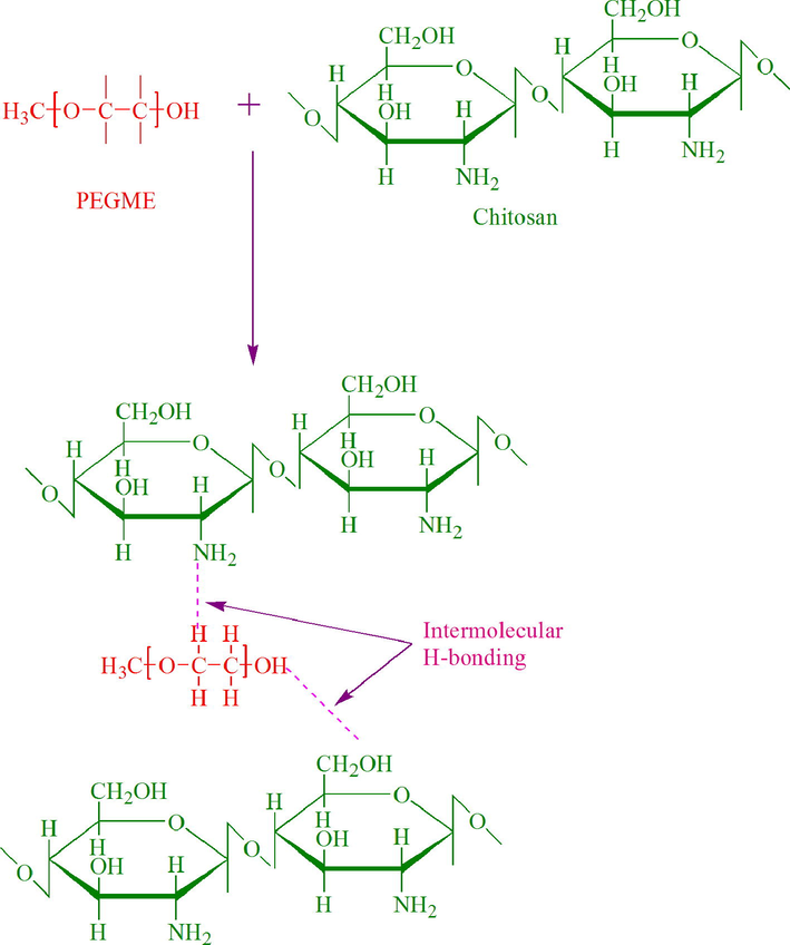 The proposed interactions between the incorporated components of the prepared hydrogels.