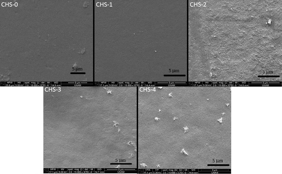 SEM micrographs of chitosan/PEGME blend films surface in different compositions consisting of 100/0 (CHS-0), 90/10 (CHS-1), 80/20 (CHS-2), 70/30 (CHS-3), and 60/40 (CHS-4).