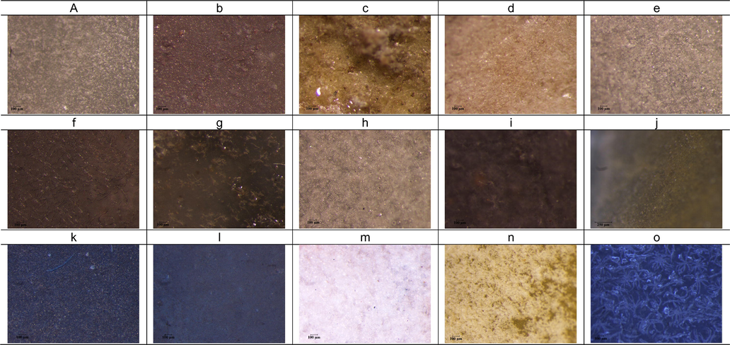 Optical microscope photographs of TPU membranes with silver salt and ionic liquid additives; a: pure TPU membrane; b: 10 wt.% AgNO3; c: 20 wt.% AgNO3; d: 10 wt.% Ag[PF6]; e: 10 wt.% Ag[BF4]; f: 10 wt.% Ag[Tf2N]; g: 20 wt.% Ag[PF6]; h: 20 wt.% Ag[BF4]; i: 20 wt.% Ag[Tf2N]; j: 10 wt.% AgNO3 + 10% [C4mim][NO3]; k: 10 wt.% Ag[PF6] + 10% [C4mim][PF6]; l: 10 wt.% Ag[BF4] + 10% [C4mim][BF4]; m: 10 wt.% Ag[Tf2N] + 10% [C4mim][Tf2N]; n: 10 wt.% AgNO3 + 20% [C4mim][NO3]; o: 10 wt.% Ag[PF6] + 20% [C4mim][PF6] at 293 K and at atmospheric pressure.