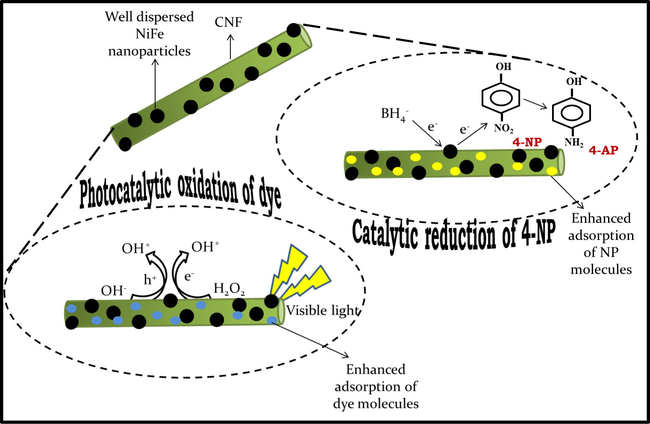 Mechanistic pathway for photocatalytic oxidation of dye and catalytic reduction of 4-NP.