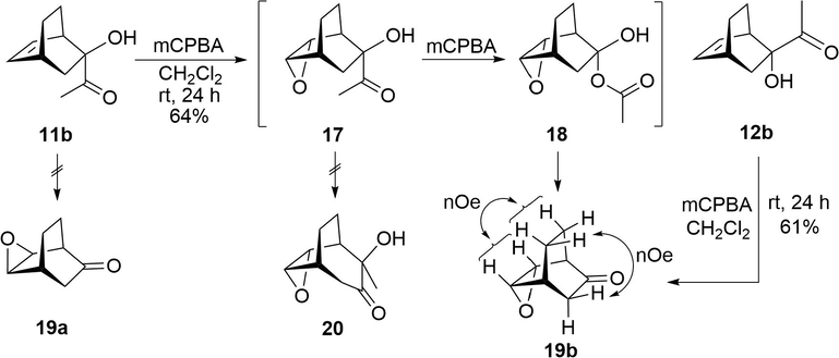 Epoxidation/Baeyer-Villiger cascade reaction of α-ketols 11b and 12b.