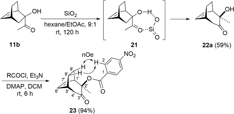 Possible stereospecific α-ketol rearrangement of 11b.