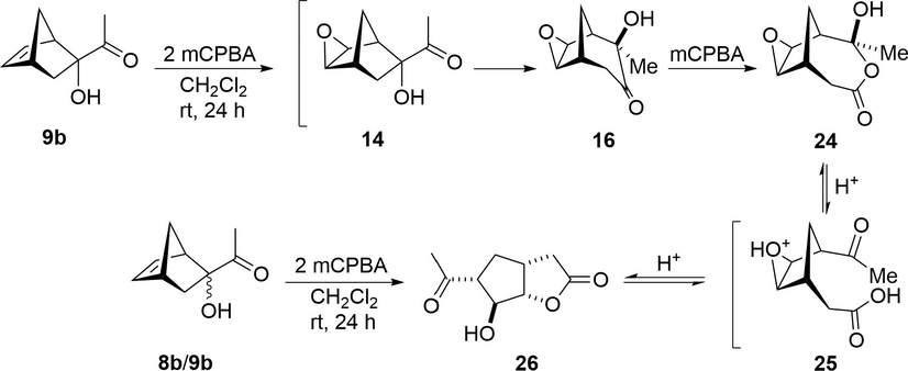 Conversion of α-ketols 8b and 9b into the bicyclic γ-lactone 26.