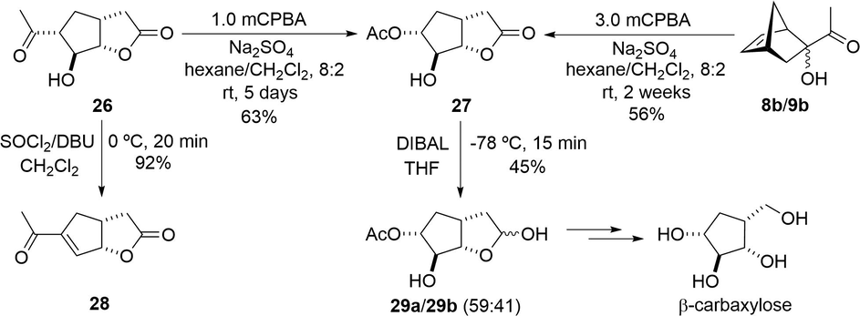 Conversion of α-ketols 8b/9b and bicyclic γ-lactone 26 into bicyclic γ-lactone 27, as a synthetic approach to racemic β-carbaxylose, and into bicycle 28.