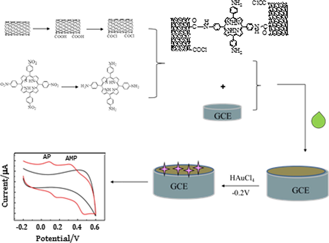 Preparation procedure of the modified electrode.