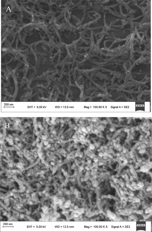 SEM images of CNTs-CONH-TAPP/GCE (A) and AuNPs/CNTs-CONH-TAPP/GCE (B).