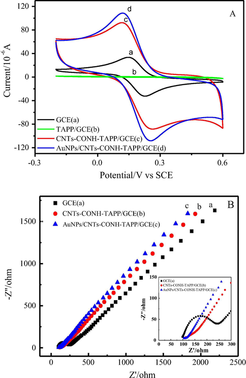 (A) CVs of bare GCE (a), TAPP/GCE (b), CNTs-CONH-TAPP/GCE (c) and AuNPs/CNTs-CONH-TAPP/GCE (d) in 0.1 mol L−1 KCl containing 1 mmol L−1 Fe(CN)63−/4−. (B) EIS of bare GCE (a), CNTs-CONH-TAPP/GCE (b) and AuNPs/CNTs- CONH-TAPP/GCE (c) in 0.1 mol L−1 KCl containing 5 mmol L−1 [Fe(CN)6]3−/4−. Inset: Amplification of high frequency range.