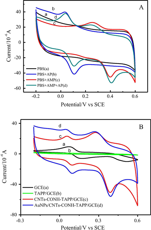 (A) CVs of AuNPs/CNTs-CONH-TAPP/GCE in 0.1 mol L−1 PBS (pH = 7.0) solutions without AMP and AP (a), with AP (b), AMP (c) and AP + AMP (d), respectively, at a scan rate of 100 mV s−1; (B) CVs of bare GCE (a), TAPP/GCE (b), CNTs-CONH-TAPP/GCE (c) and AuNPs/CNTs-CONH-TAPP/GCE (d) in 0.1 mol L−1 PBS (pH = 7.0) containing 0.03 mmol L−1 AP and AMP.