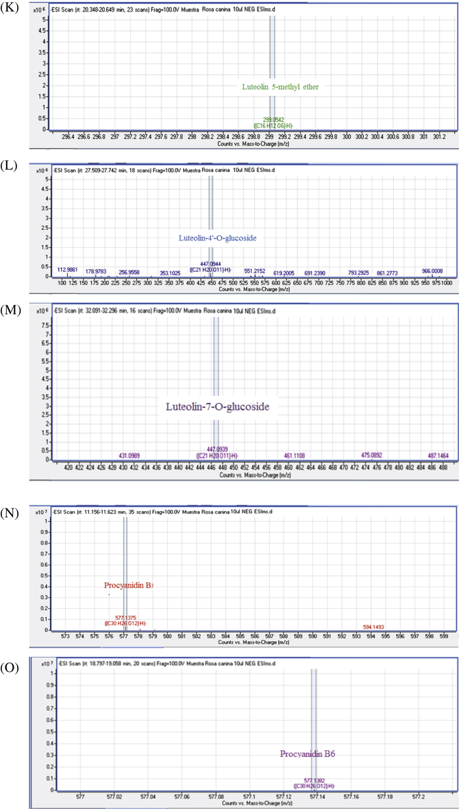 MS/MS spectra of chemical compounds of extract of Rosa canina. Apigenin (5A), Cafeic acid (3B), Apigenin-7-O-glucoside (5B), Bilobalide A (5C), Catechin (5D), Citric acid (5E), Dihydroquercetin (5F), Ellagic acid (5G), Gallacetophenone (5H), Gallocatechol (5I), Kaempferol-7-O-glucoside (5J), Luteolin 5-methyl ether (5K), Luteolin-4′-O-glucoside (5L), Luteolin-7-O-glucoside (5M), Procyanidin B3 (5N), Procyanidin B6 (5O), Pyrogallol-2-O-glucuronide (5P), Quercetin dehydrate (5Q), Quercetin (5R), Quercetol 3-O-rutinoside (5S), Rosmarinic acid (5T).