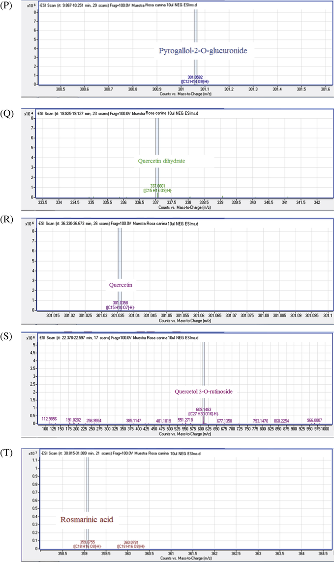 MS/MS spectra of chemical compounds of extract of Rosa canina. Apigenin (5A), Cafeic acid (3B), Apigenin-7-O-glucoside (5B), Bilobalide A (5C), Catechin (5D), Citric acid (5E), Dihydroquercetin (5F), Ellagic acid (5G), Gallacetophenone (5H), Gallocatechol (5I), Kaempferol-7-O-glucoside (5J), Luteolin 5-methyl ether (5K), Luteolin-4′-O-glucoside (5L), Luteolin-7-O-glucoside (5M), Procyanidin B3 (5N), Procyanidin B6 (5O), Pyrogallol-2-O-glucuronide (5P), Quercetin dehydrate (5Q), Quercetin (5R), Quercetol 3-O-rutinoside (5S), Rosmarinic acid (5T).
