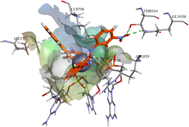 The binding affinities of compounds ZnL2; Ball and stick, showing hydrogen bonds (green doted lines) and π-alkyl interactions (rose pink doted lines) involving flexible docking into 4FM9.