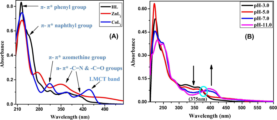 UV–Vis spectra of 20 µM HL, ZnL2 and CoL2 (A) and 20 µM HL in different pH media (B).