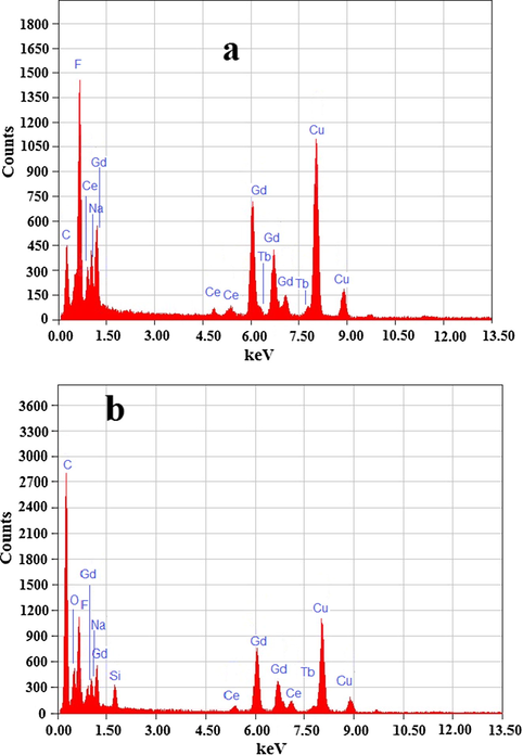 Energy dispersive X-ray spectrograph core and core/shell/SiO2 NCs.