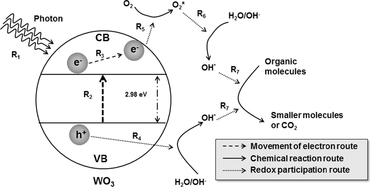 Illustration image of the phenomena happen during photocatalysis.