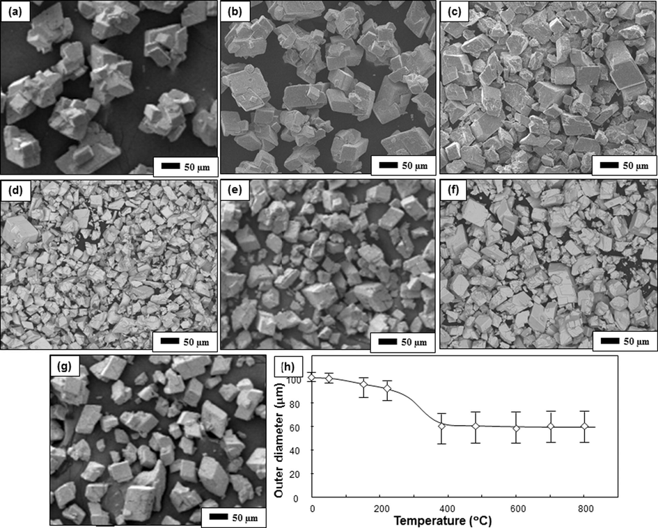 SEM images of ATP heated with various temperatures. Figure (a) is the initial ATP powder. Figures (b), (c), (d), (e), (f), and (g) are samples heated at 150, 210, 380, 480, 600, and 800 °C respectively. Figure (h) is the outer diameters of the particle versus heating temperatures.