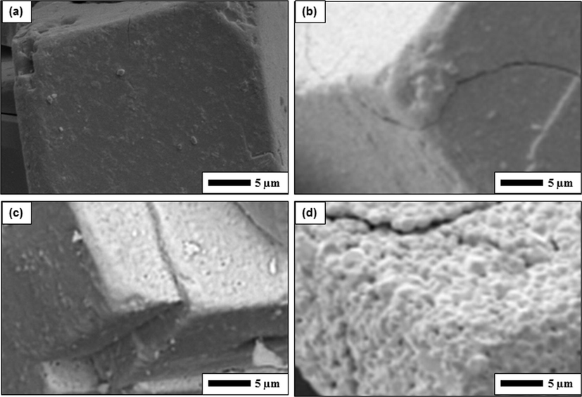 High magnification of SEM images of ATP heated with various temperatures. Figure (a) is the initial ATP powder. Figures (b), (c), and (d) respectively are samples heated at 210, 600, and 800 °C.