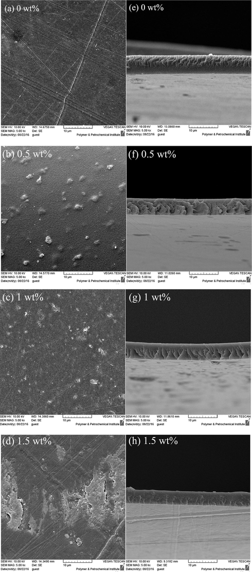 Surface (a–d) and cross-section (e–h) SEM images of CS/PVA membranes with different DNDs contents.