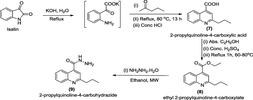 Pathways for the synthesis of 2-propylquinoline-4-carbohydrazide, 9.