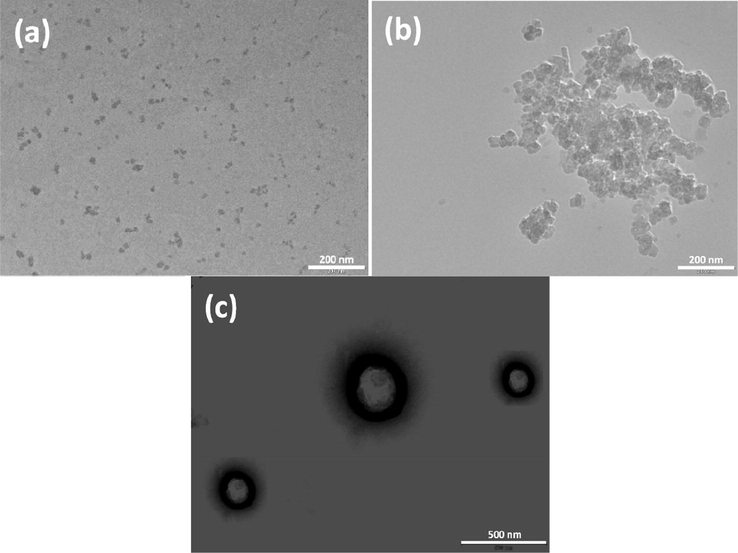 TEM images: (a) 5 mM; (b) 2 mM; (c) 1 mM (with negative stained of uranyl acetate solution for 10–15 s) of an aqueous solution of 16-Isb-16 at 25 °C. Scale bar represents: (a) 200 nm; (b) 200 nm; (c) 500 nm.