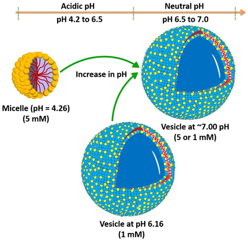 Schematic Representation of pH induced morphological transitions in aqueous solution of 16-Isb-16.
