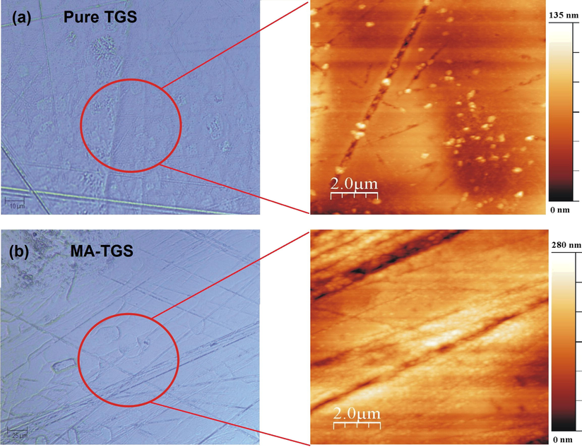 The optical and corresponding AFM image of polished (1 0 0) surface for (a) Pure TGS, and (b) MA-TGS crystal.