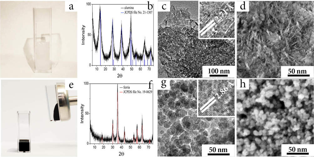 Alumina (a-d) and ferria (e-h) hydrosols used for preparation of the composites. Visual appearance of the as-synthesized alumina (a) and ferria (e); XRD spectra of the alumina, (reference JCPDS 21-1307 shown as the blue lines) (b), and ferria (reference JCPDS No. 19-0629 shown as red lines) (f); HR-TEM image of the alumina (c) and ferria (g) samples, interplanar spaces are shown in the inserts; HR-SEM image of alumina (d) and ferria (h).