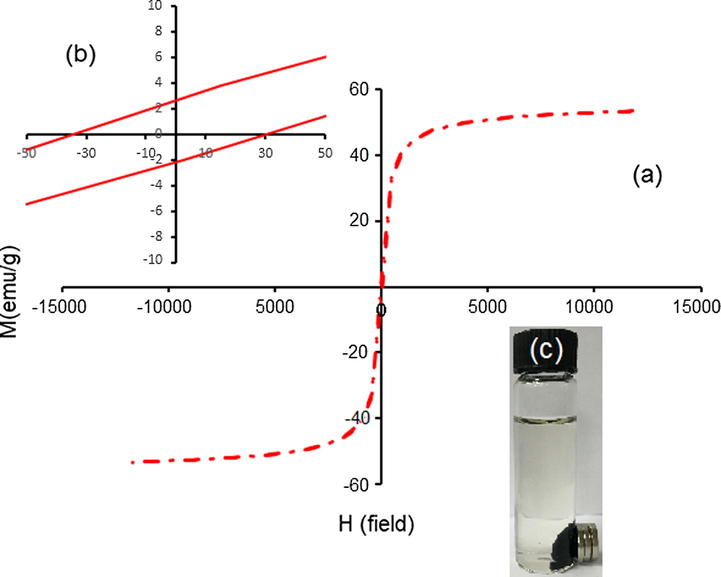 Vibrating sample magnetometer plots of J. regia/iron oxide nanoparticles coated with J. regia (a), hysteresis loop of J. regia/iron oxide nanoparticles (b) and (c) separation of synthesizing J. regia/iron oxide nanoparticles.
