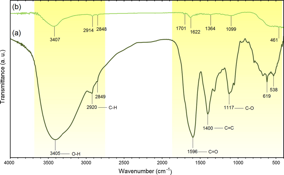 FTIR spectra for J. regia (a) and J. regia/iron oxide nanoparticles (b).