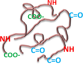 Polarizable groups in the polyurethane chain.