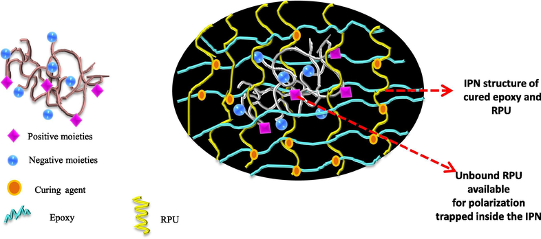Schematic representation of the effectiveness of network structure in shielding the polar groups of RPU. The schematic of the RPU with polarizable moieties (left) and polar groups that lie deep inside the network so that they will be shielded by the network formed around them (right).