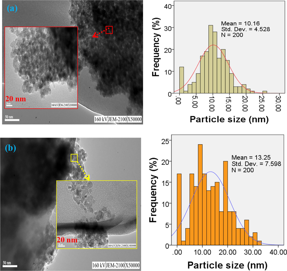 TEM images of the as-synthesized TiO2 samples; TiO2 synthesized with Thyme Alcea (a) Alcea (b), accompanied by their respective particle size distribution histograms.