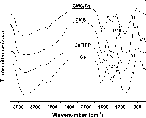 FTIR spectra of pure polysaccharides (CMS and Cs) and microparticles (CMS/Cs and Cs/TPP).