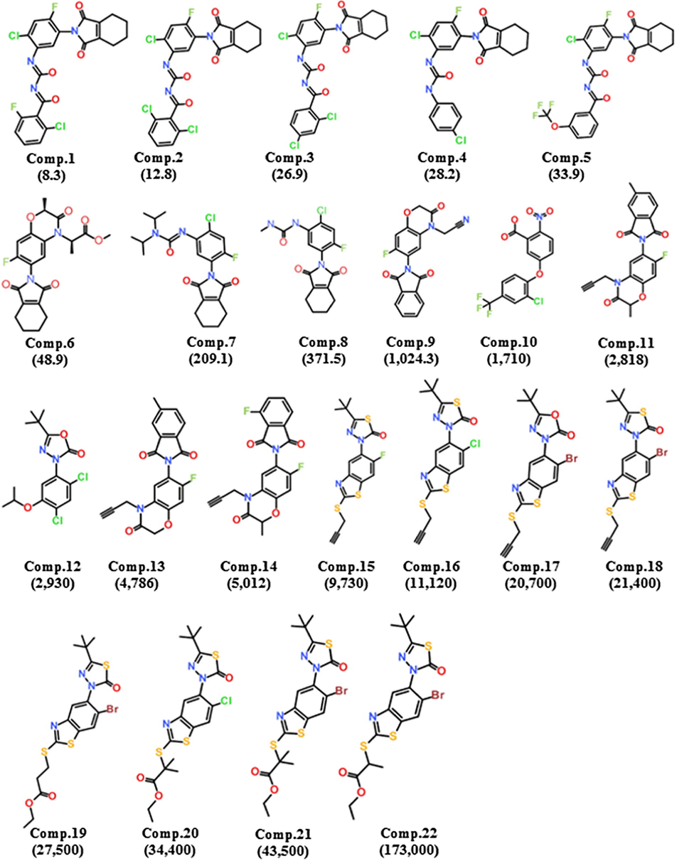 Training set compounds: 2D chemical structures and Ki (nmol/L) values of 22 training set compounds for hypotheses generation.