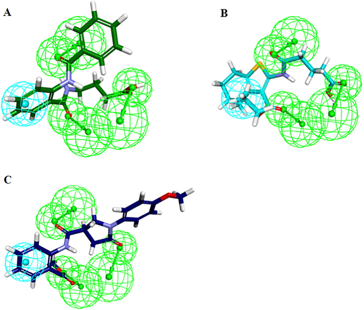 Hypo1 mapped onto the hit molecules. (A) Hit1, (B) Hit2, (C) Hit3. The HBA and HYP features are colored as green and cyan respectively.
