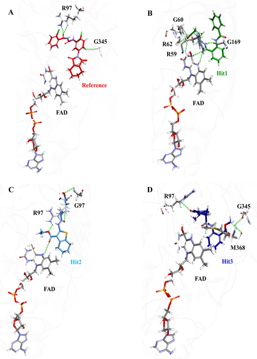 Illustration of pose orientation and hydrogen bond formation of the Reference compound and the three hit molecules in the active site of hPPO. (A) Reference: red, (B) Hit1: green, (C) Hit2: cyan, and (D) Hit3: blue. Hydrogen bonds between hPPO and ligands are shown as green dotted lines.