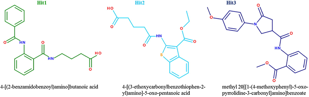 2D structures and IUPAC names of the three hit molecules.
