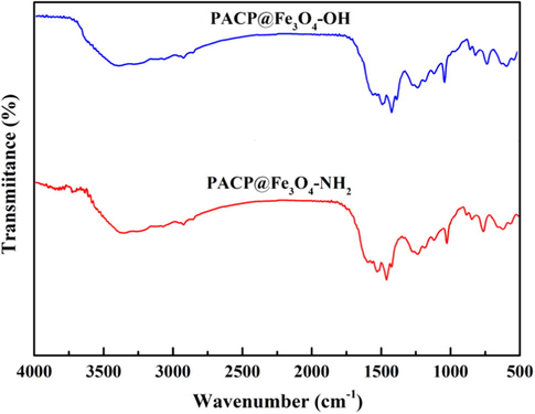 FTIR spectra of PACP@Fe3O4-NH2 and PACP@Fe3O4-OH nanocomposites.