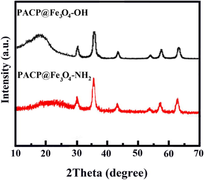 XRD patterns of the PACP@Fe3O4-NH2 and PACP@Fe3O4-OH nanocomposites.