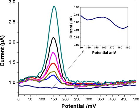 The DPV current responses of CuNPs/MWCNT-MIP modified electrode (from a to g), after incubation (9 min) with different l-DOPA concentrations in 0.1 mmol L−1 PBS (pH 7.0) with a scan rate of 20 mV s−1, a pulse amplitude 50 mV, and a pulse width of 50 ms. Inset: standard curve of l-DOPA, Concentration vs current.