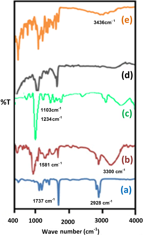 FTIR spectra of (a) purified MWCNT, (b) MWCNT-COOH, (c) MWCNT-CH⚌CH2, (d) CuNPs/MWCNT-MIPs without l-DOPA and (e) CuNPs/MWCNT-MIPs with l-DOPA.
