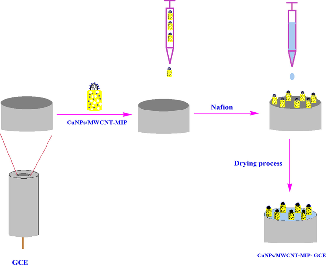 Schematic representation of the construction of CuNPs/MWCNT-MIP on GCE.