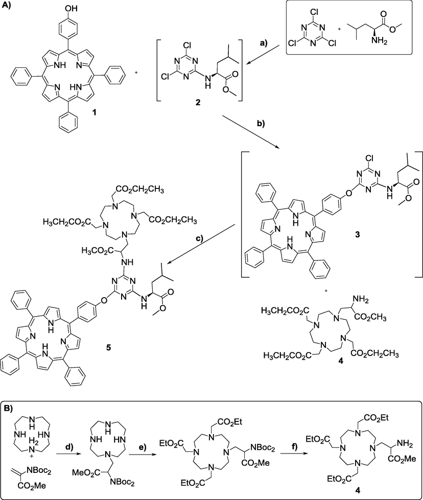 (A) Reaction pathway to obtain compound 5. Reagents and conditions: (a) −10 °C to −5 °C, 30 min, DIPEA, THF; (b) 30 °C, 24 h, DIPEA, THF; (c) 60 °C, 72 h, DIPEA, THF. (B) Reaction pathway to obtain compound 4. Reagents and conditions: (a) RT, 4 h, K2CO3, CH3CN; (b) RT, 4 h, ethylbromoacetate, K2CO3, CH3CN; (c) RT, overnight, TFA (10%), CH2Cl2.