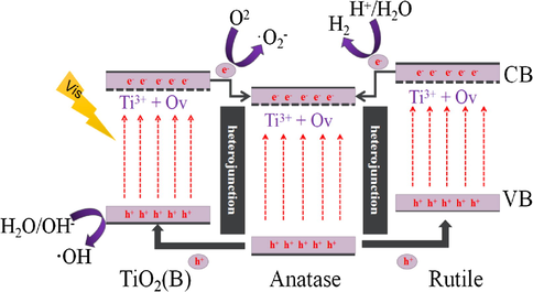 Schematic illustration of the visible-light-driven photocatalytic mechanism for Ti3+ self-doped mixed-crystal tri-phase heterojunction photocatalyst.