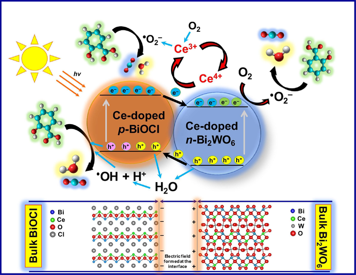Schematic representation of the photodegradation mechanism of salicylic acid over the Bi2WO6-BiOCl powders doped with 1 mol% Ce under visible light irradiation.