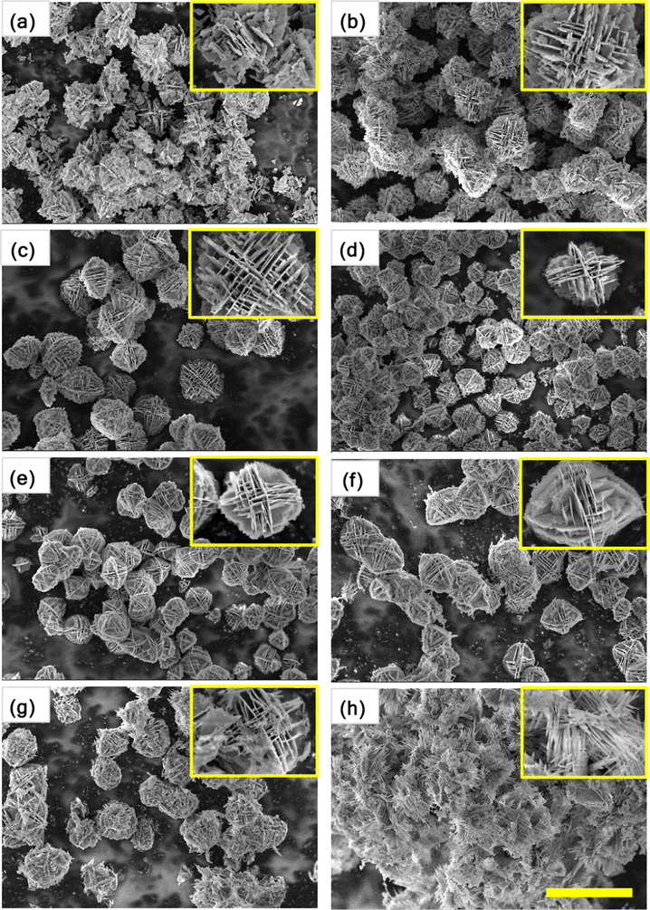 SEM images of Bi2WO6 powders doped with different contents of cerium: (a) 0 mol%, (b) 0.5 mol%, (c) 1 mol%, (d) 2 mol%, (e) 4 mol%, (f) 6 mol%, (g) 8 mol%, and (h) 10 mol%. The scale bar is 5 μm.