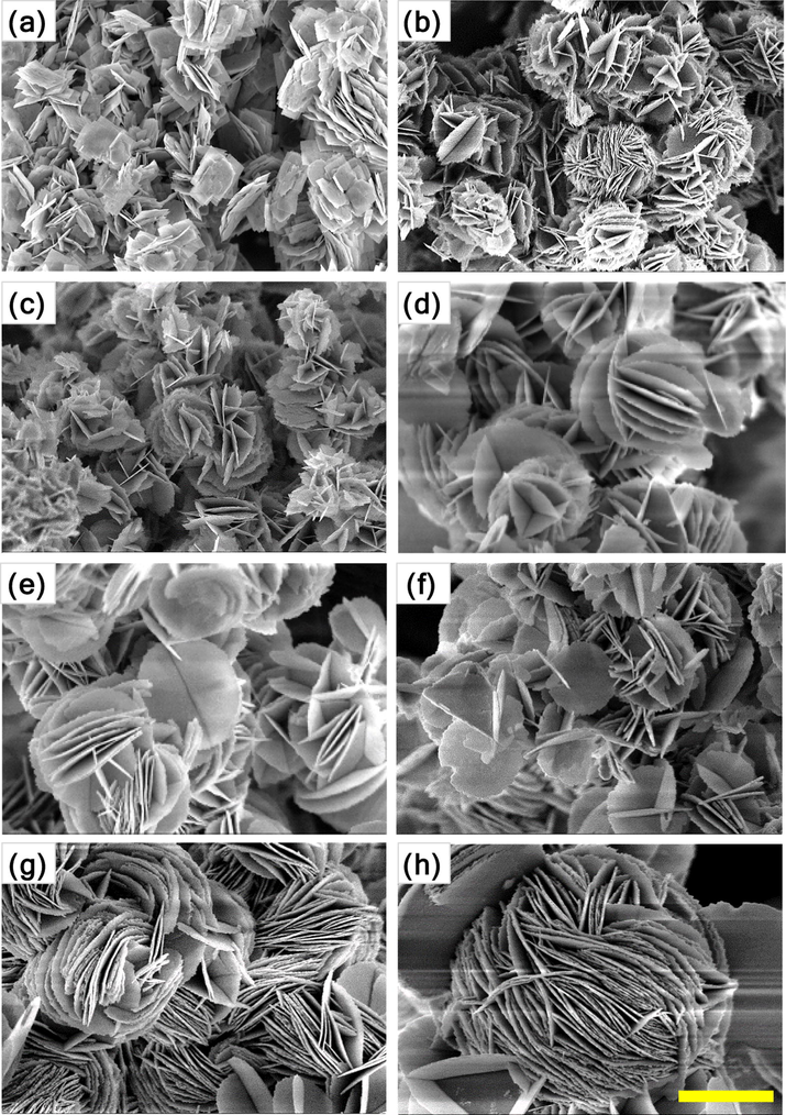 SEM images of Bi2WO6-BiOCl powders doped with different contents of cerium: (a) 0 mol%, (b) 0.5 mol%, (c) 1 mol%, (d) 2 mol%, (e) 4 mol%, (f) 6 mol%, (g) 8 mol%, and (h) 10 mol%. The scale bar is 1 μm.